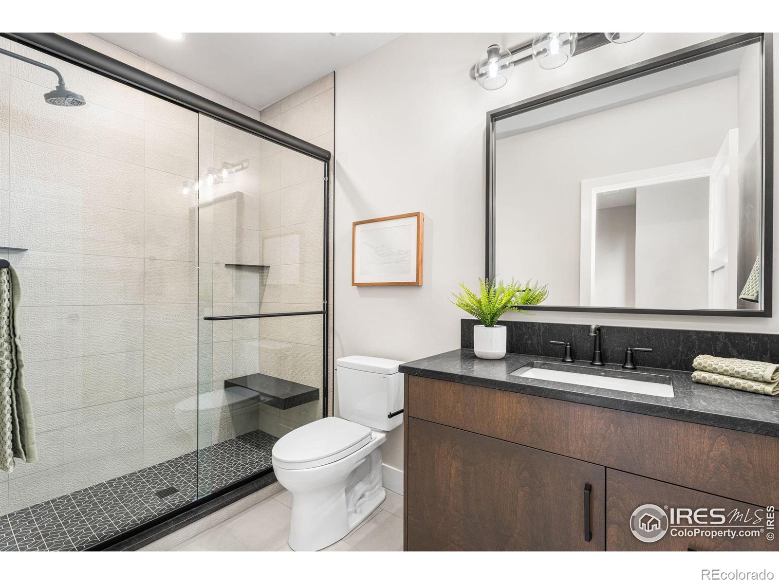 MLS Image #27 for 6709  morning song court,timnath, Colorado