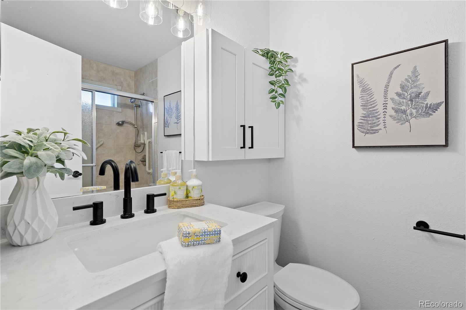MLS Image #18 for 3110  cimarron street,aurora, Colorado