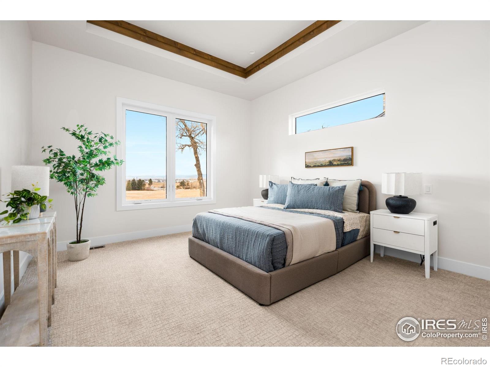 MLS Image #22 for 6729  morning song court,timnath, Colorado