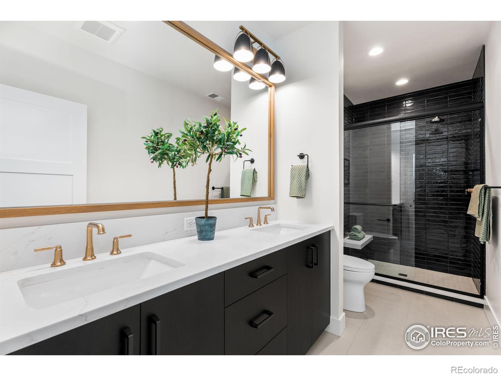MLS Image #28 for 6729  morning song court,timnath, Colorado
