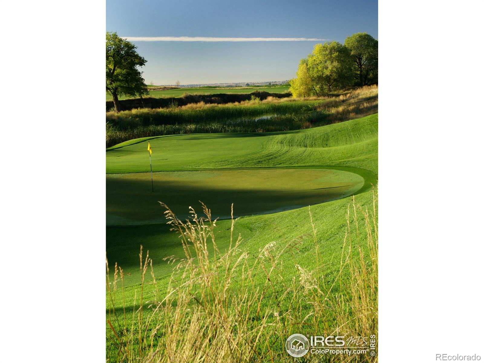 MLS Image #41 for 6729  morning song court,timnath, Colorado