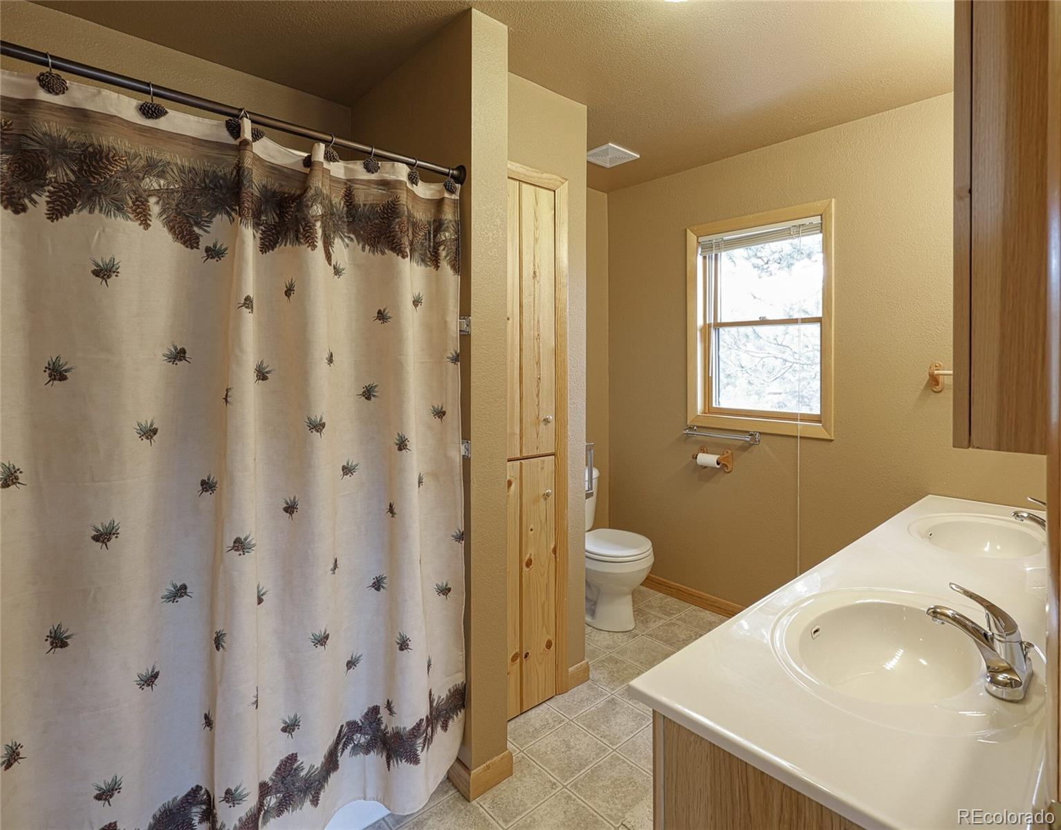 MLS Image #23 for 62  cheyenne road,florissant, Colorado