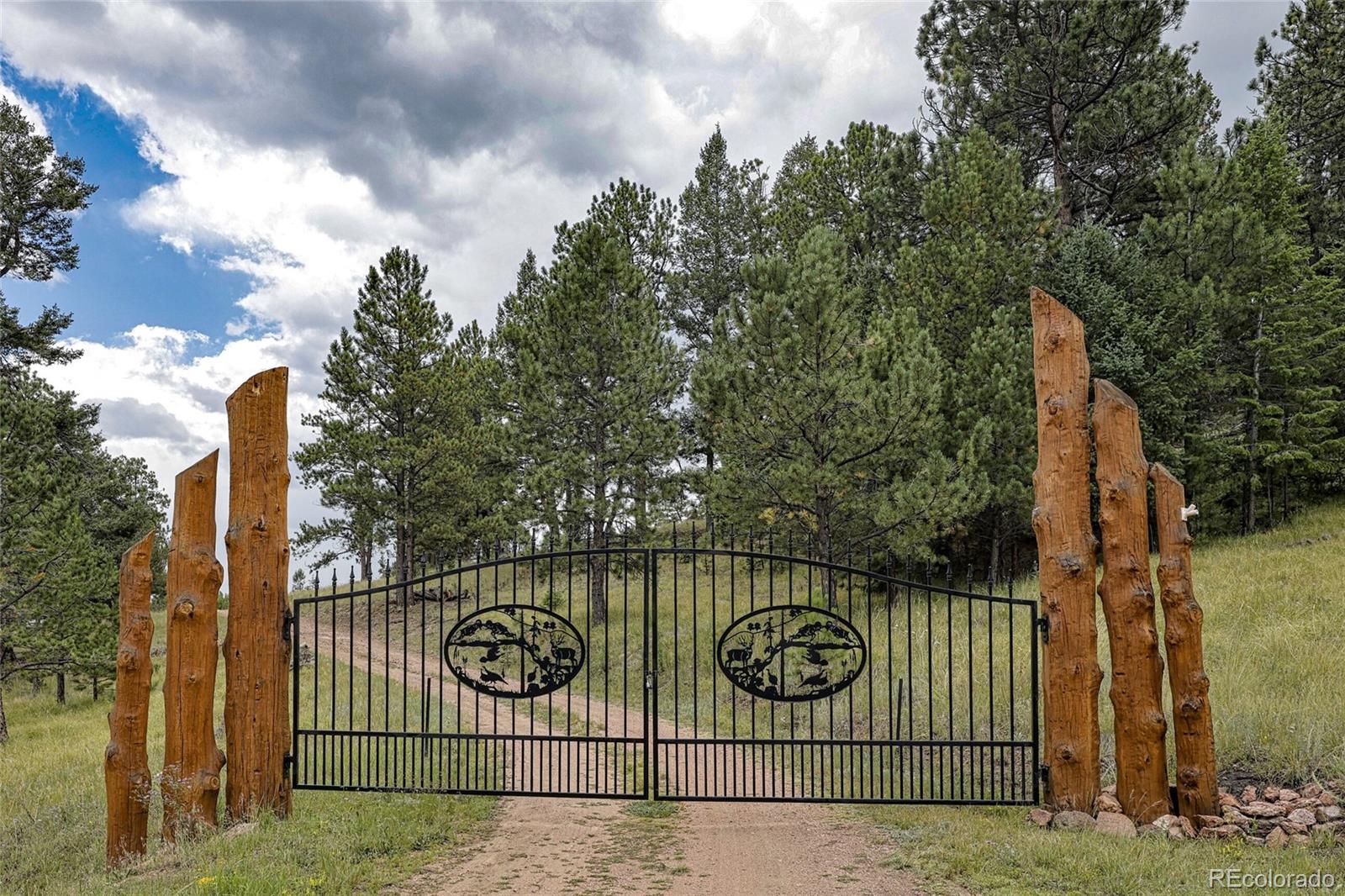 MLS Image #3 for 62  cheyenne road,florissant, Colorado