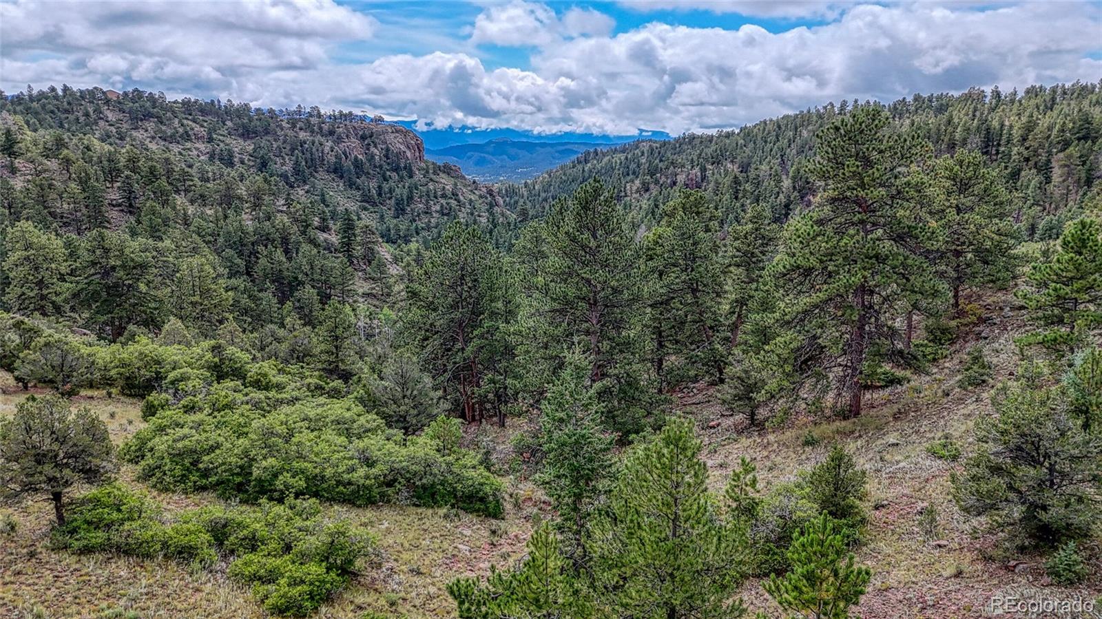 MLS Image #39 for 62  cheyenne road,florissant, Colorado