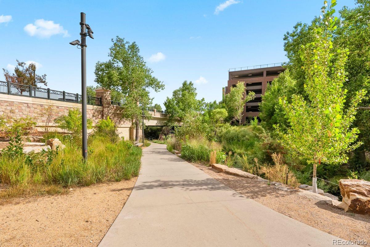 MLS Image #49 for 2989  mount royal drive ,castle rock, Colorado