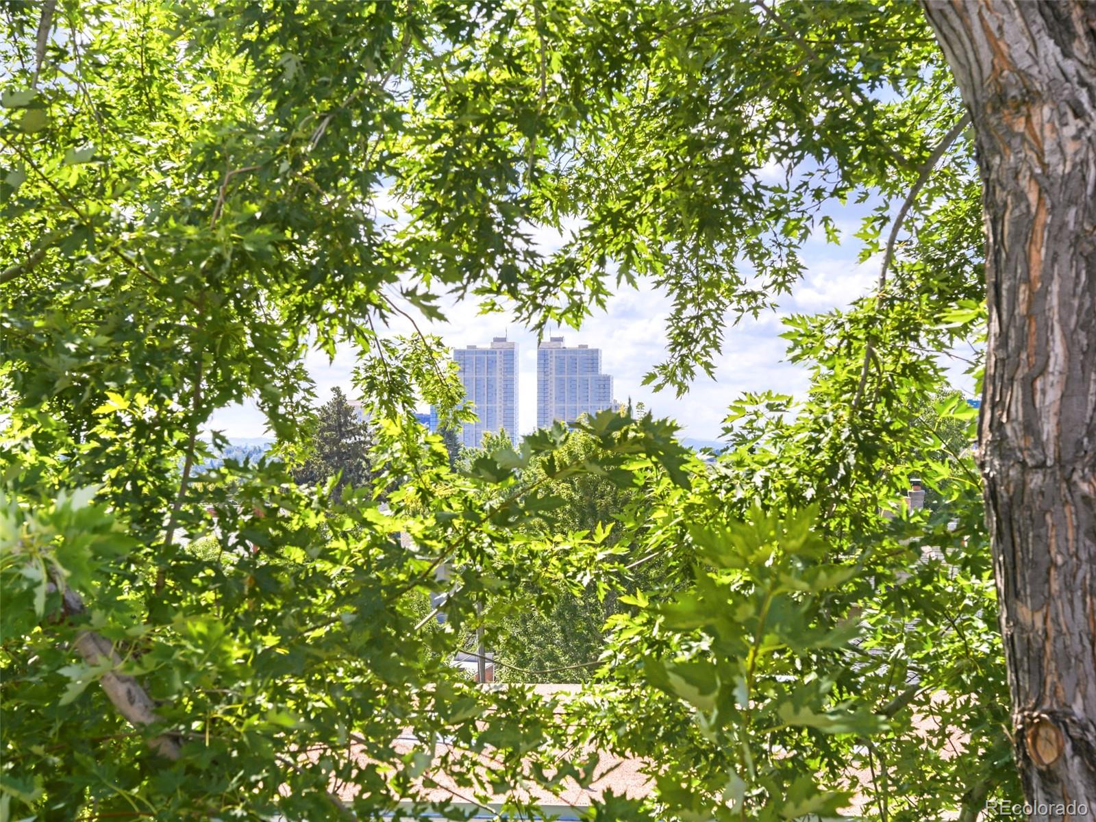 MLS Image #25 for 790 n clarkson street 204,denver, Colorado