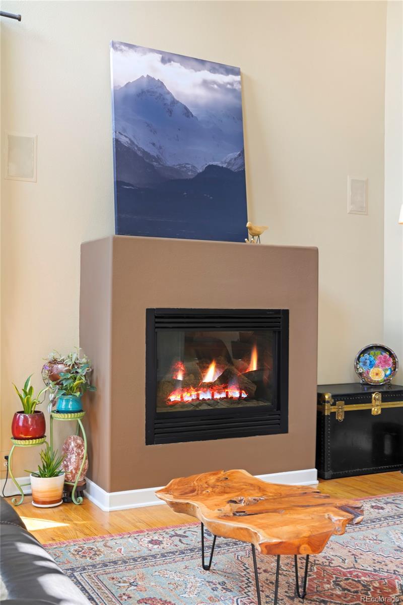 MLS Image #9 for 790 n clarkson street 204,denver, Colorado