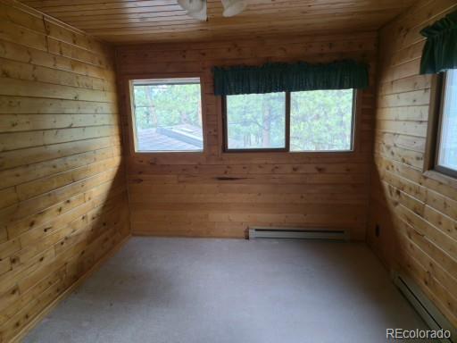 MLS Image #12 for 131  hitchrack road,bailey, Colorado