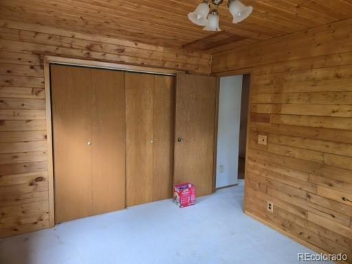 MLS Image #13 for 131  hitchrack road,bailey, Colorado