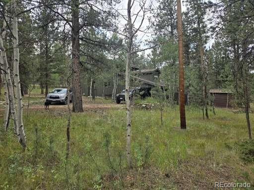 MLS Image #2 for 131  hitchrack road,bailey, Colorado