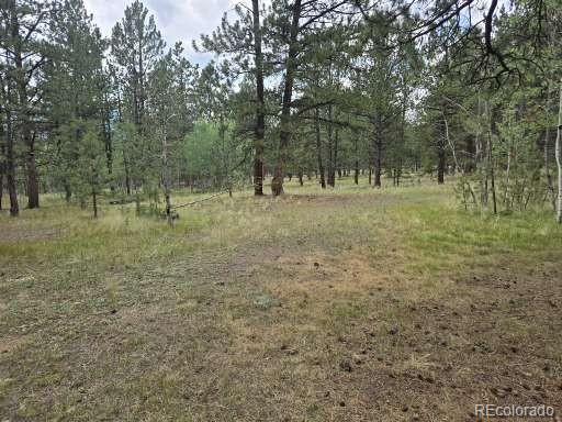 MLS Image #23 for 131  hitchrack road,bailey, Colorado