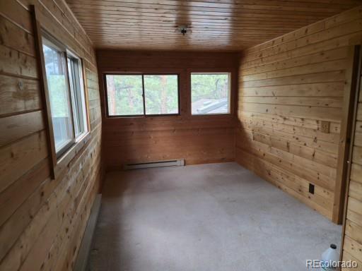 MLS Image #8 for 131  hitchrack road,bailey, Colorado
