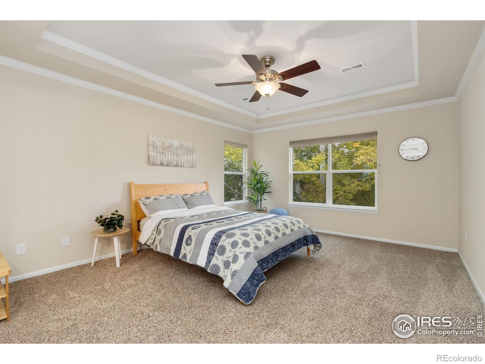 MLS Image #15 for 3620  full moon drive,fort collins, Colorado