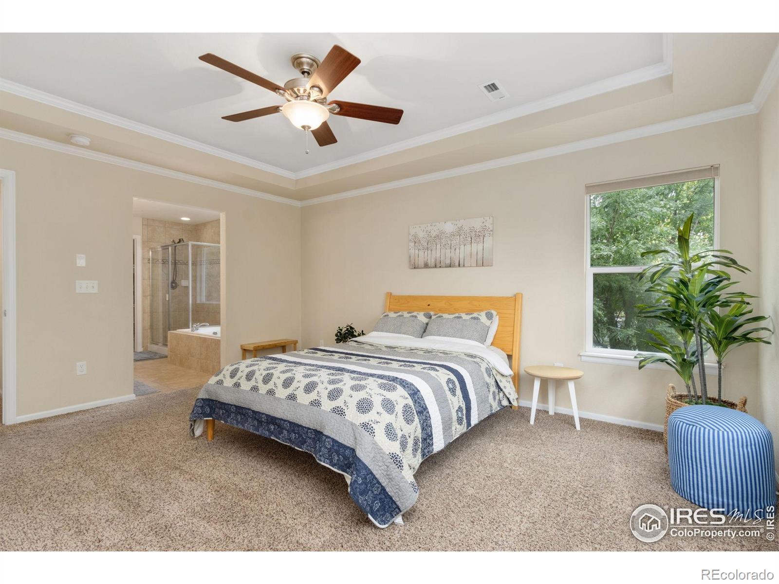 MLS Image #16 for 3620  full moon drive,fort collins, Colorado