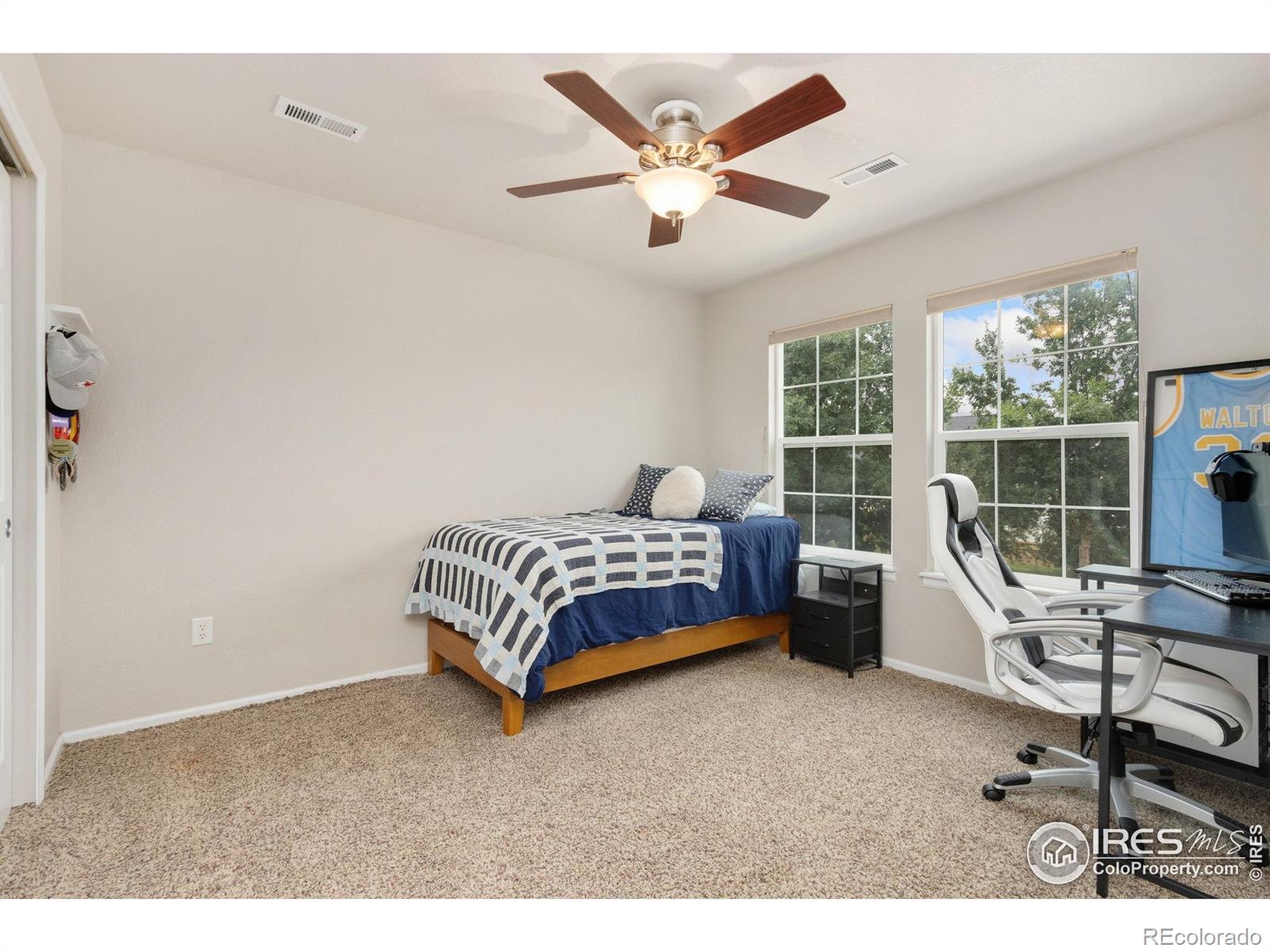 MLS Image #18 for 3620  full moon drive,fort collins, Colorado