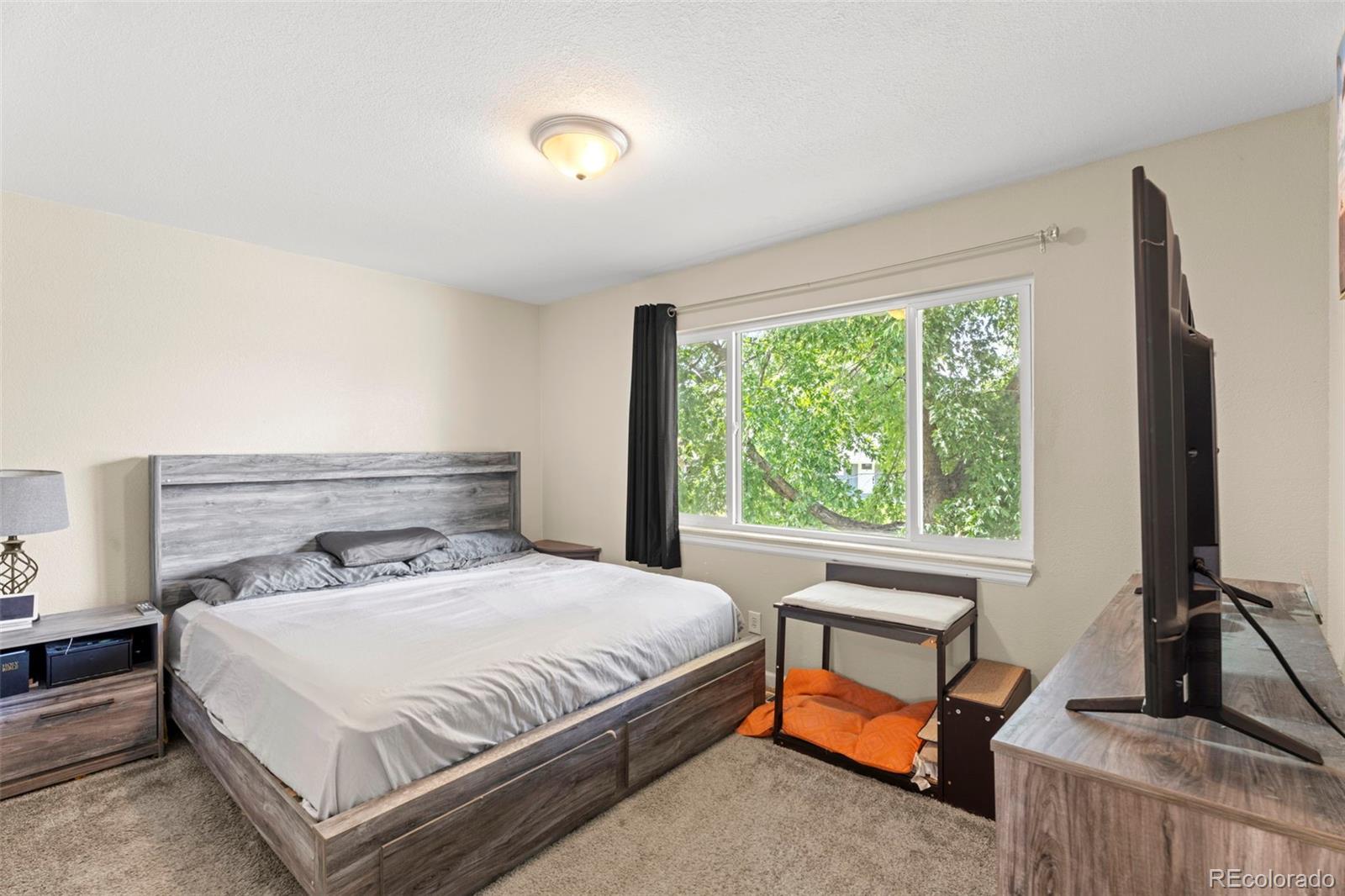 MLS Image #9 for 80  landoe lane,colorado springs, Colorado