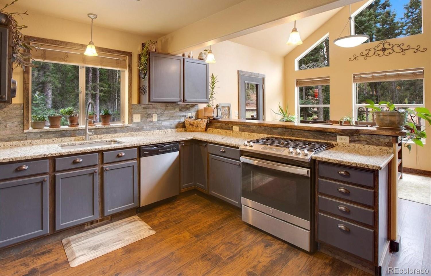 MLS Image #5 for 2741 n mountain estates road,florissant, Colorado