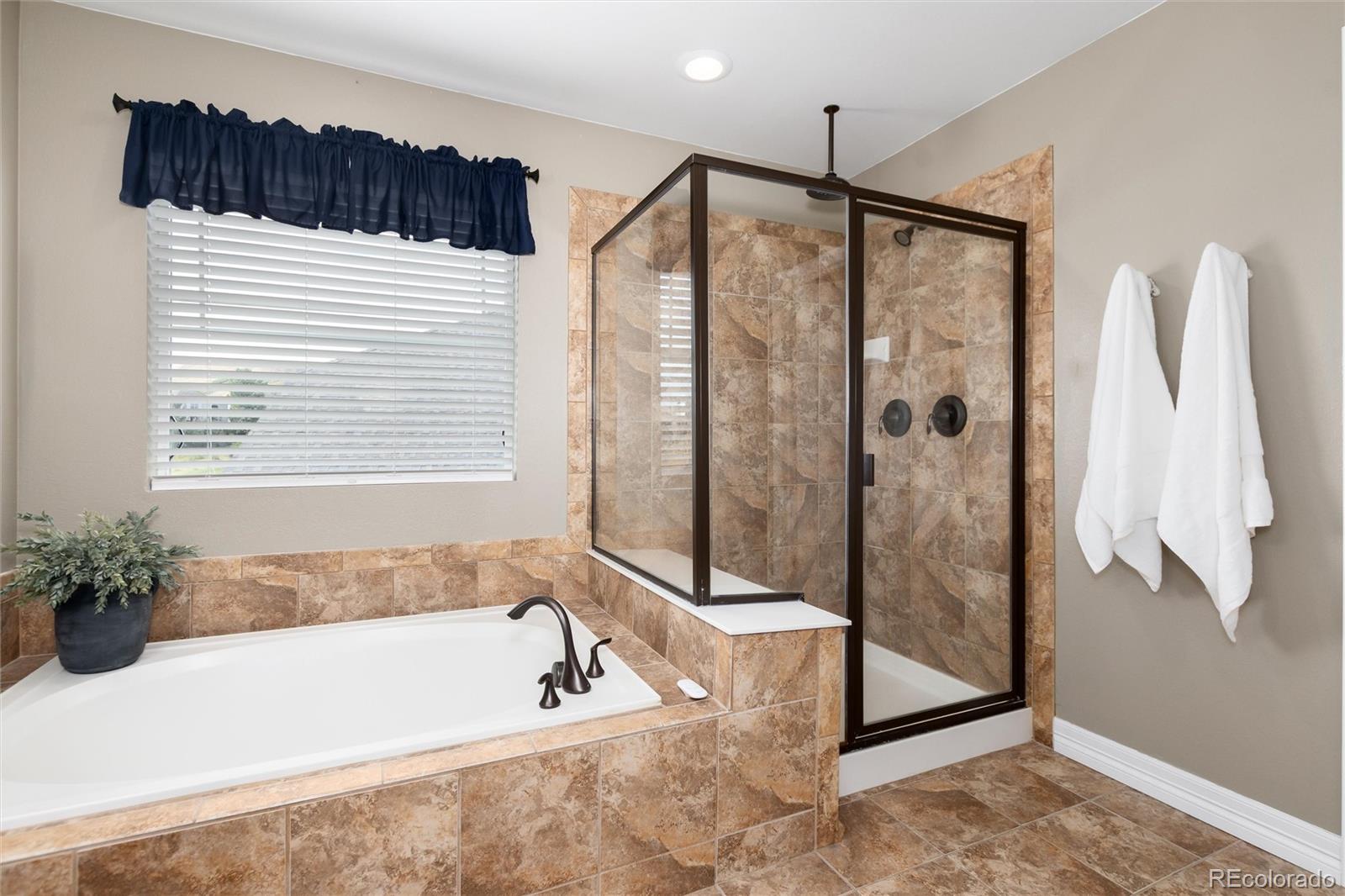 MLS Image #26 for 1556  bent wedge point,castle rock, Colorado