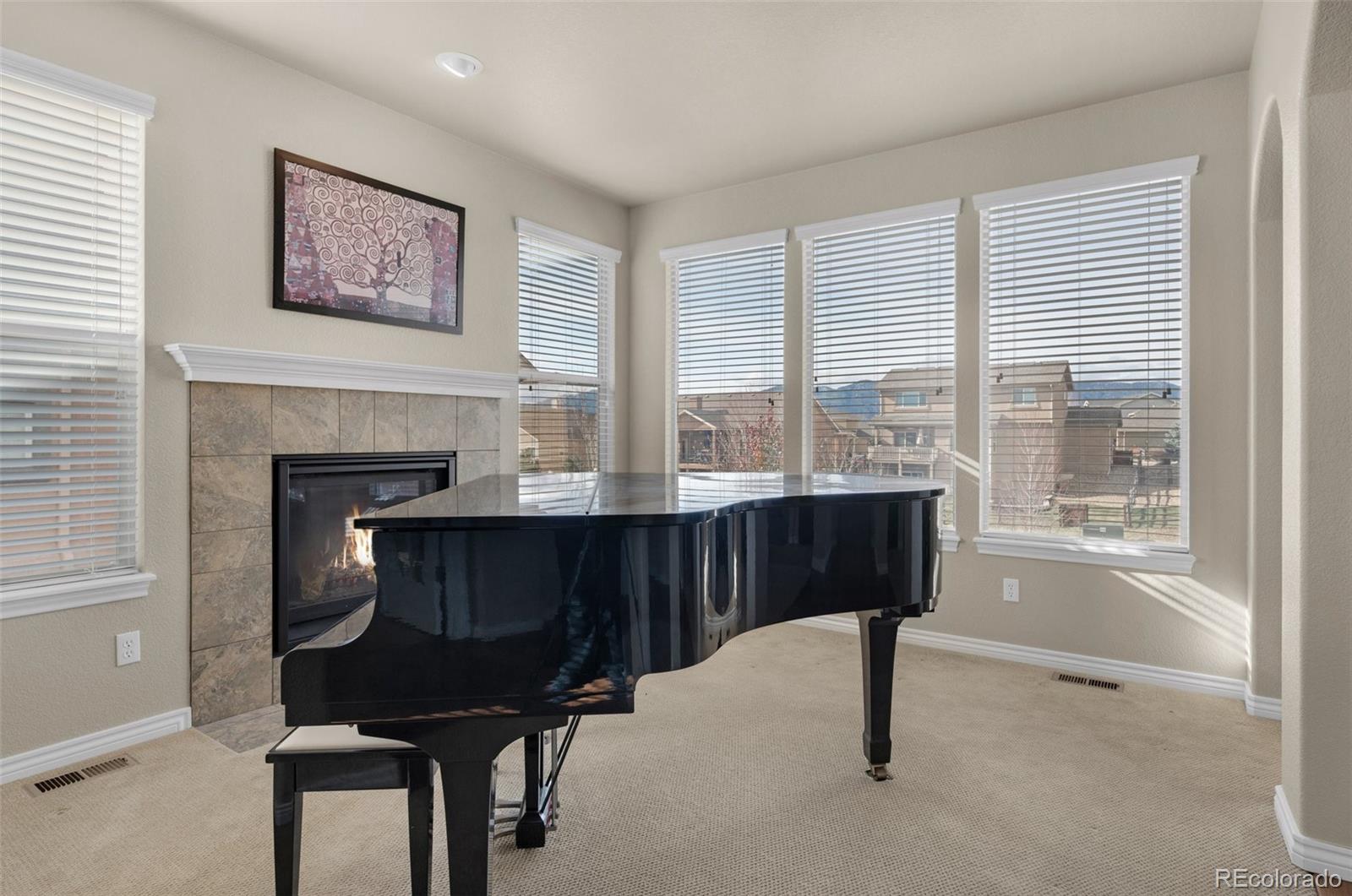 MLS Image #8 for 1053  crystal basin drive,colorado springs, Colorado