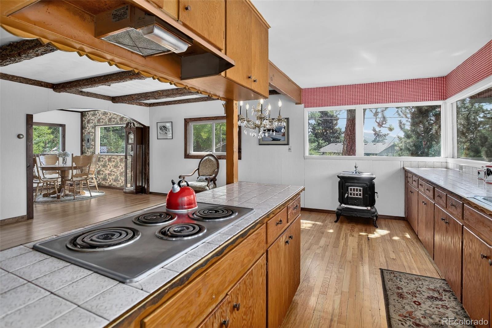 MLS Image #10 for 6703  wild rose lane,evergreen, Colorado