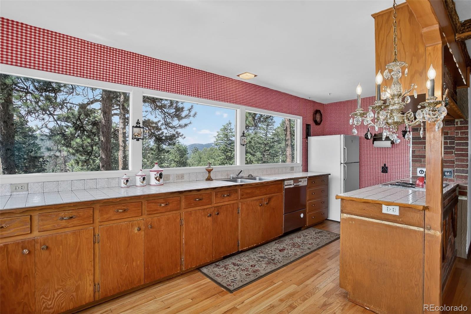 MLS Image #9 for 6703  wild rose lane,evergreen, Colorado