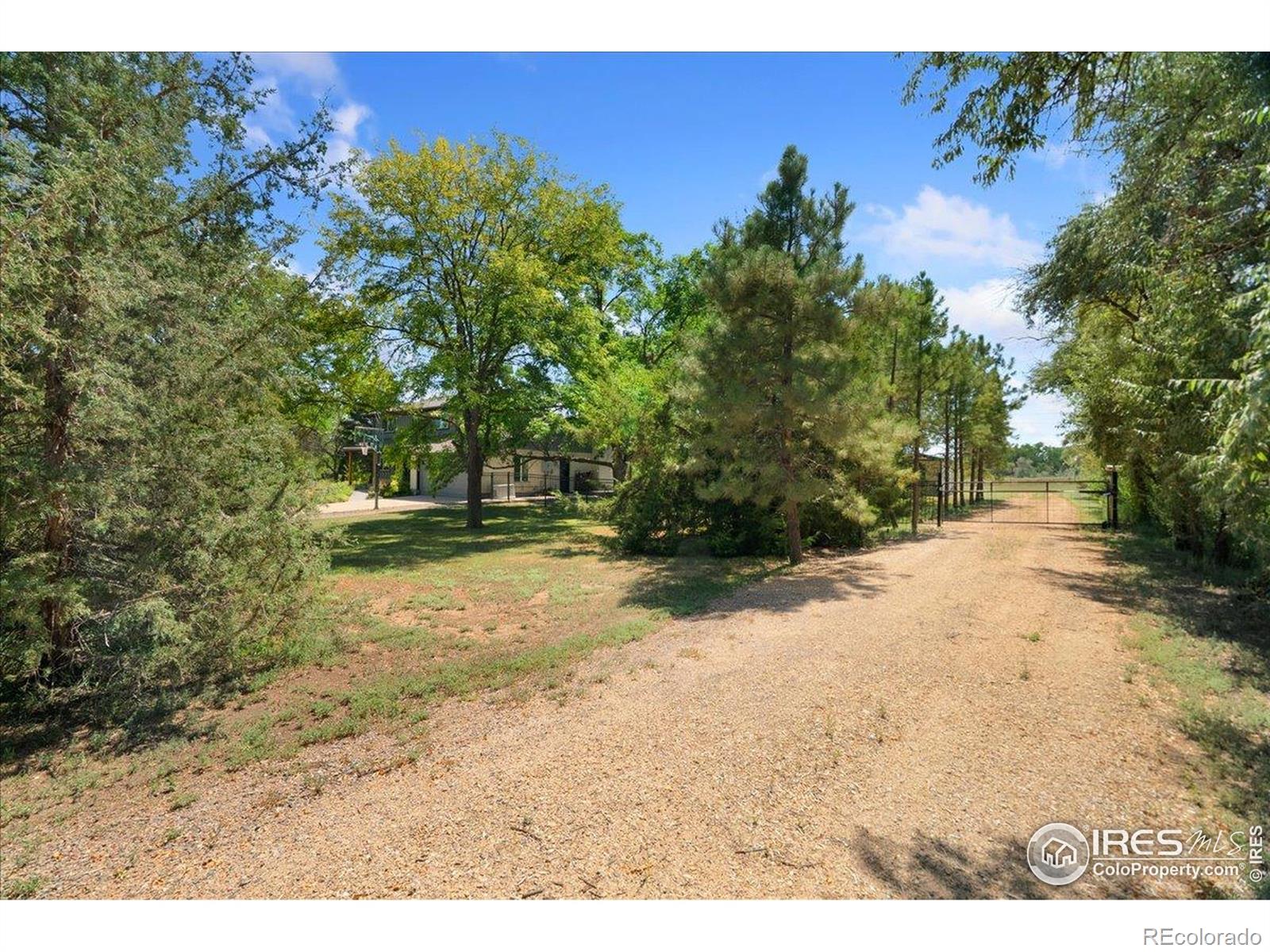 MLS Image #3 for 2548  horseshoe circle,longmont, Colorado