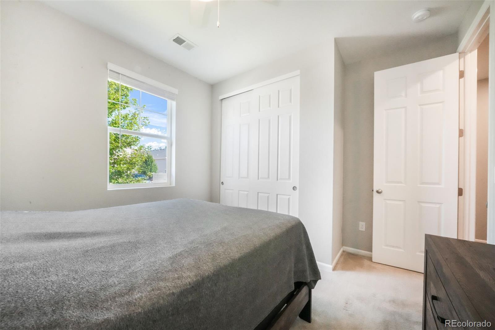MLS Image #10 for 182  vista cliff circle,castle rock, Colorado