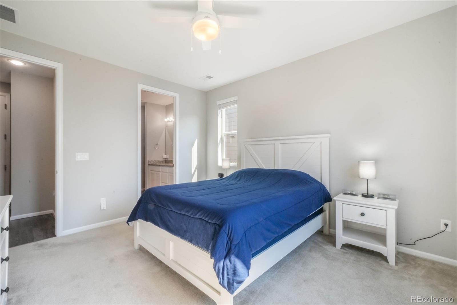 MLS Image #24 for 182  vista cliff circle,castle rock, Colorado