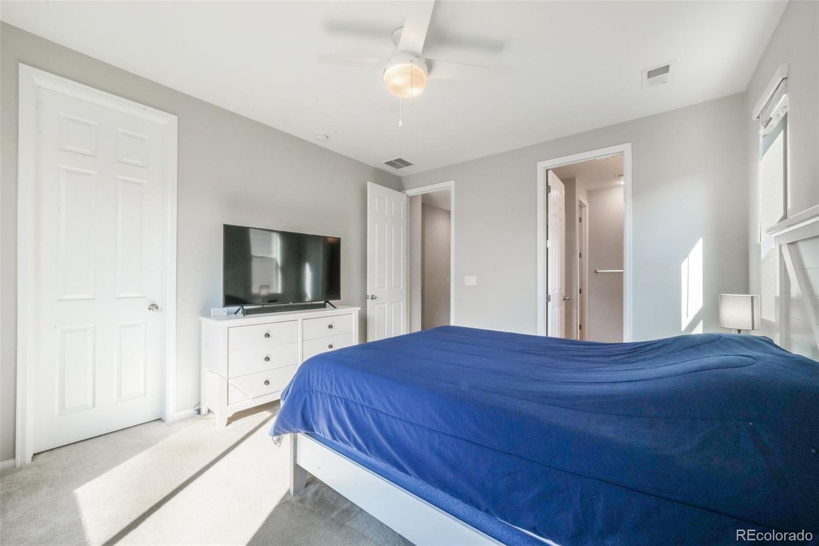 MLS Image #25 for 182  vista cliff circle,castle rock, Colorado