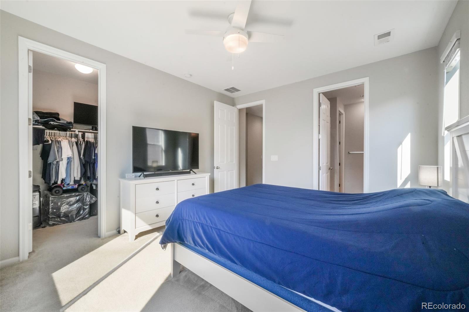 MLS Image #26 for 182  vista cliff circle,castle rock, Colorado
