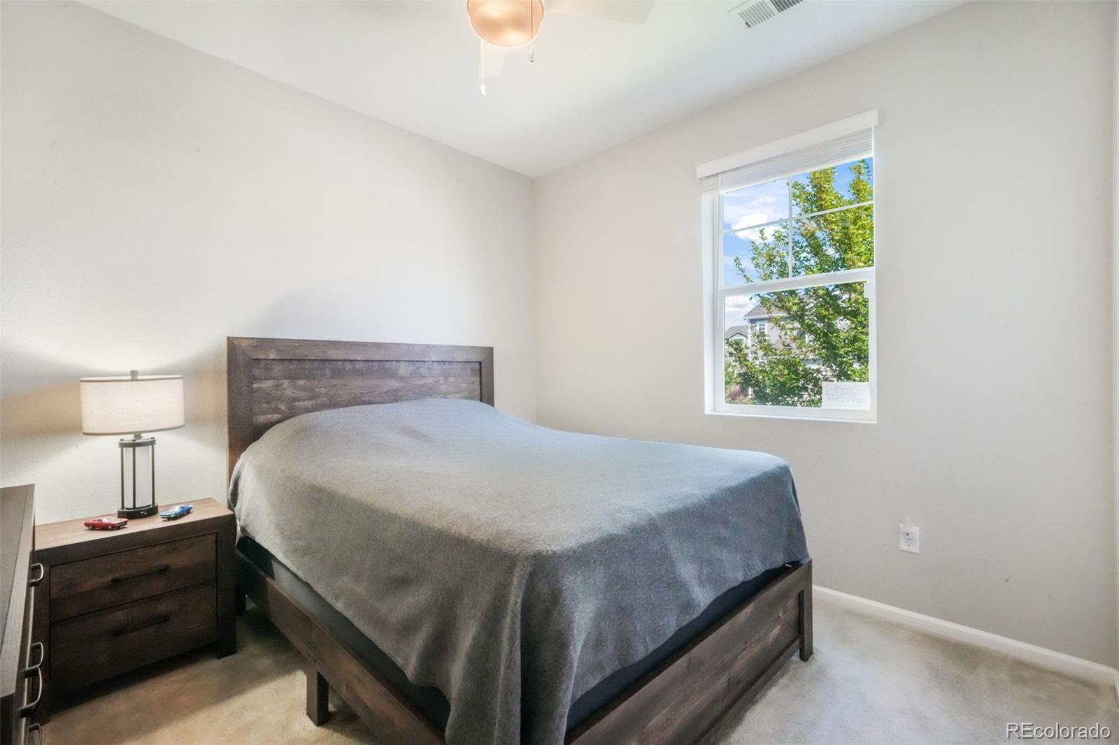 MLS Image #7 for 182  vista cliff circle,castle rock, Colorado