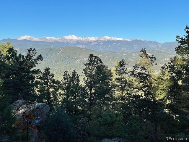 MLS Image #2 for 25187  stanley park road,evergreen, Colorado
