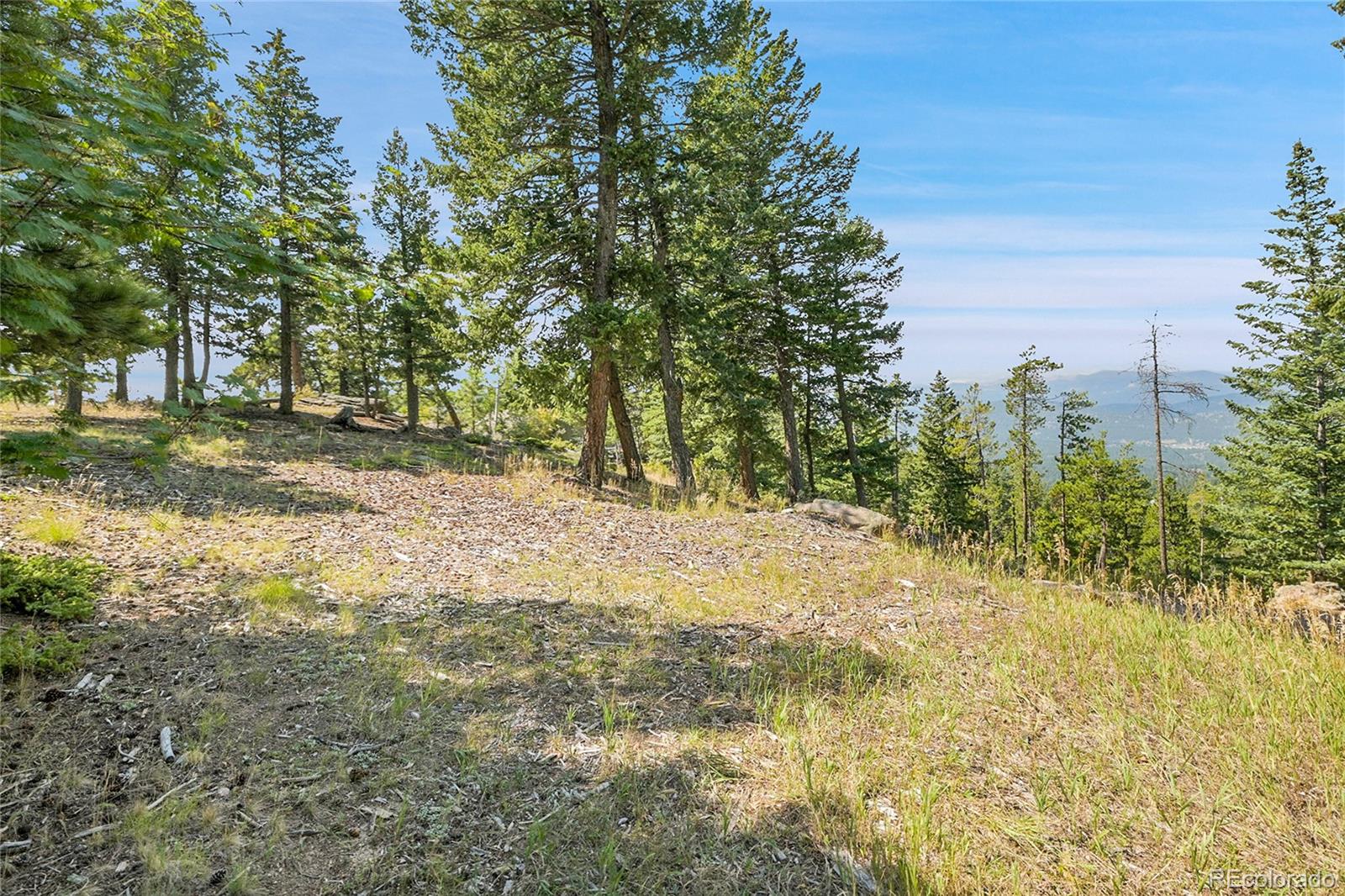 MLS Image #46 for 25187  stanley park road,evergreen, Colorado
