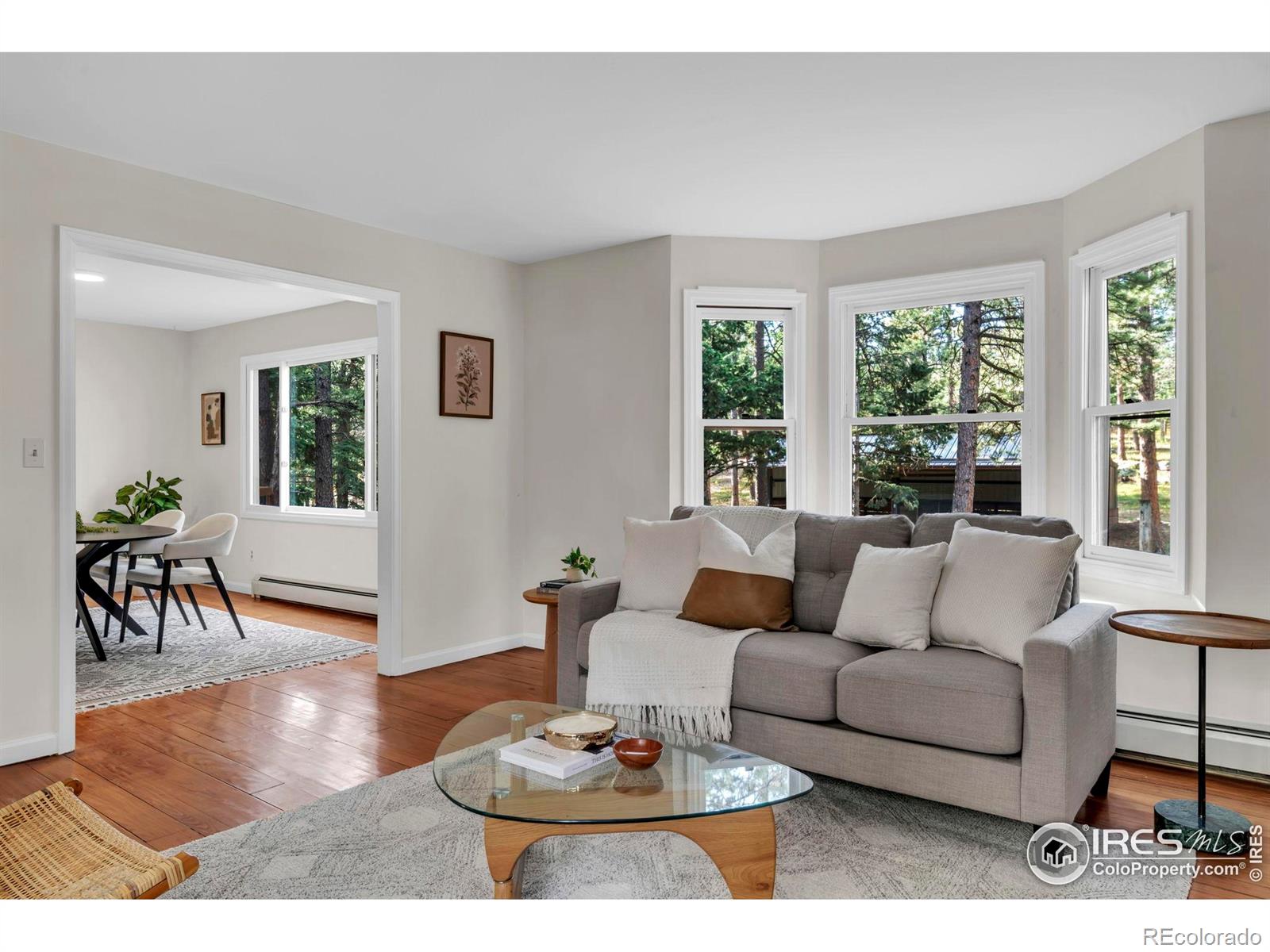 MLS Image #5 for 133  mine lane,boulder, Colorado