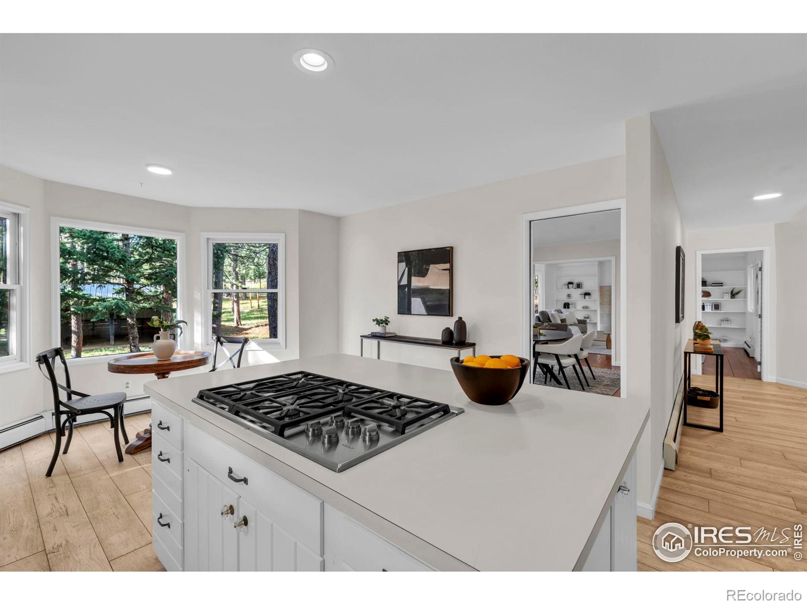 MLS Image #7 for 133  mine lane,boulder, Colorado