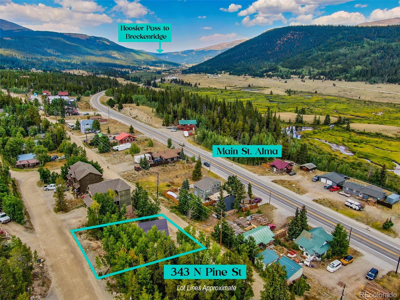 MLS Image #1 for 343 n pine street,alma, Colorado
