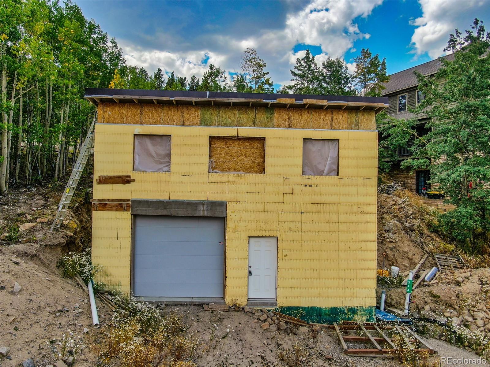MLS Image #17 for 343 n pine street,alma, Colorado