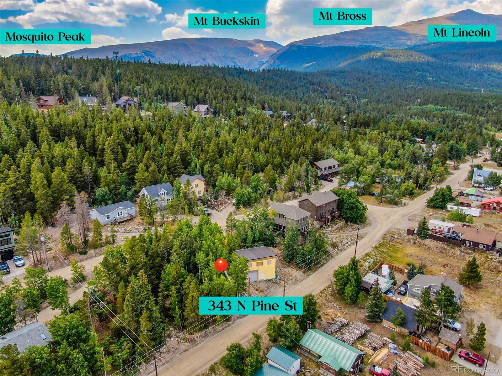 MLS Image #3 for 343 n pine street,alma, Colorado
