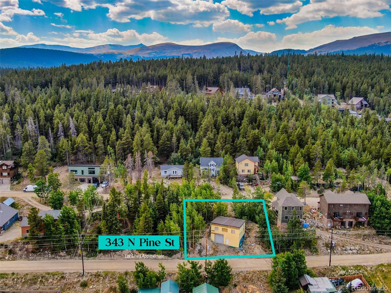 MLS Image #5 for 343 n pine street,alma, Colorado