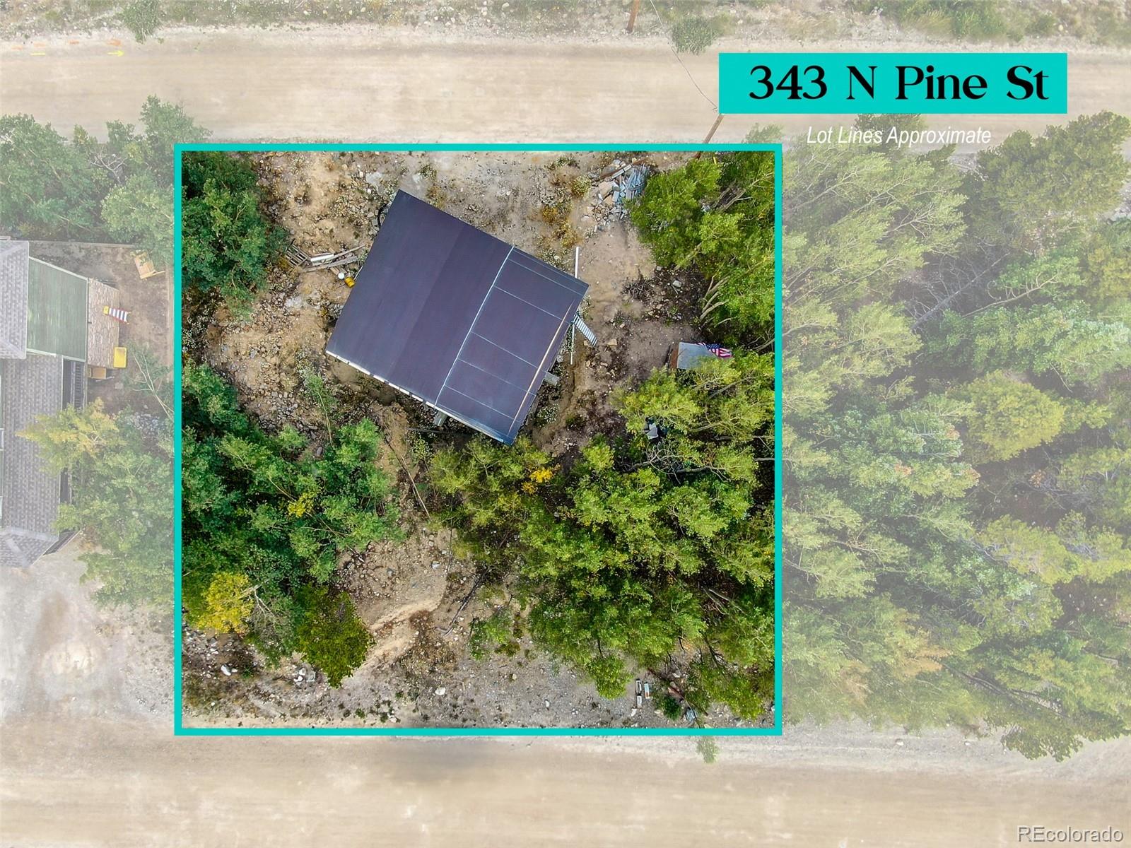 MLS Image #7 for 343 n pine street,alma, Colorado