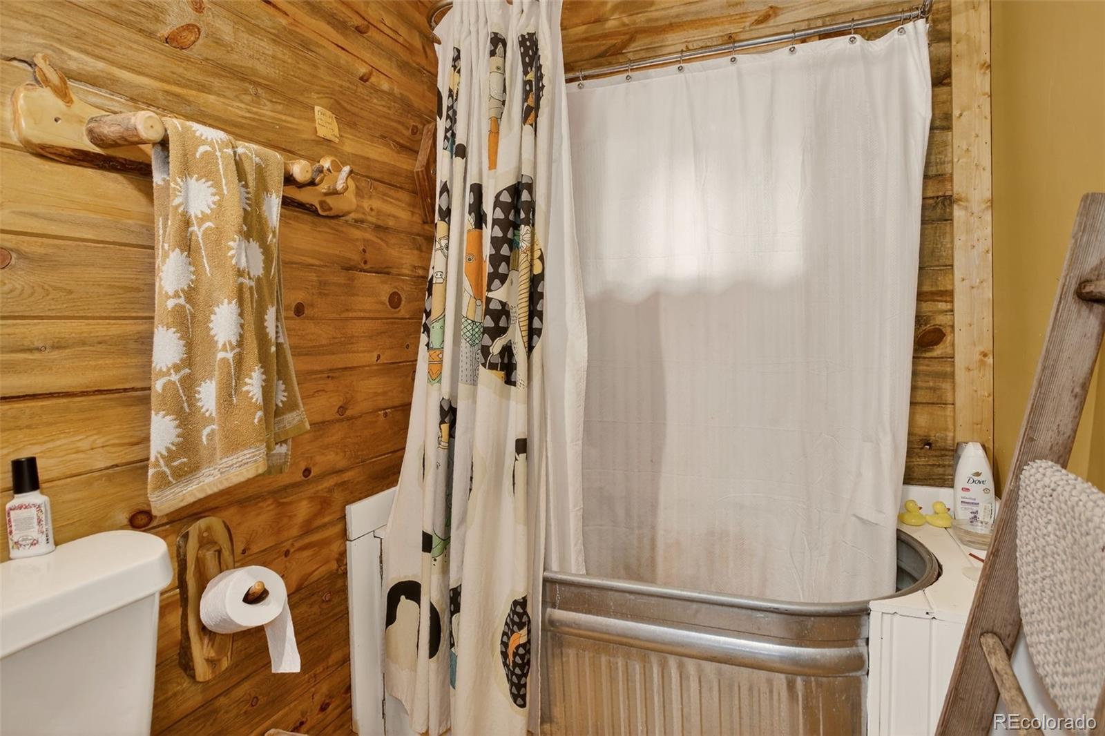 MLS Image #10 for 27403  schuyler gulch road,pine, Colorado