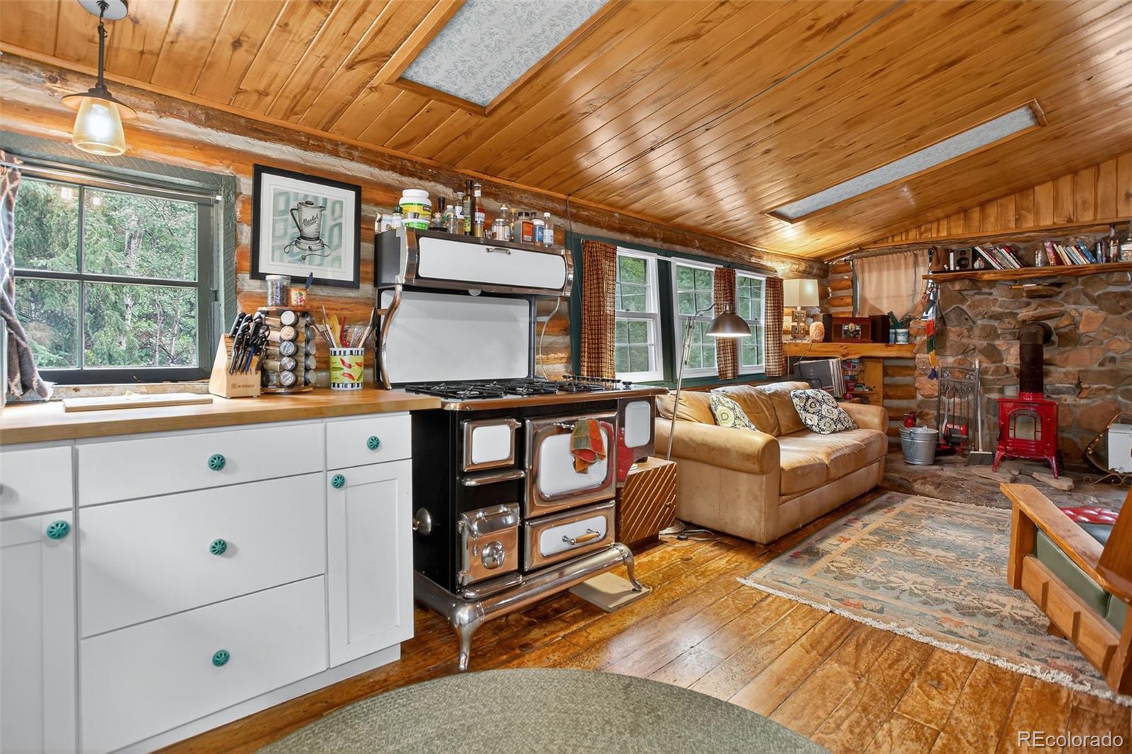 MLS Image #18 for 27403  schuyler gulch road,pine, Colorado