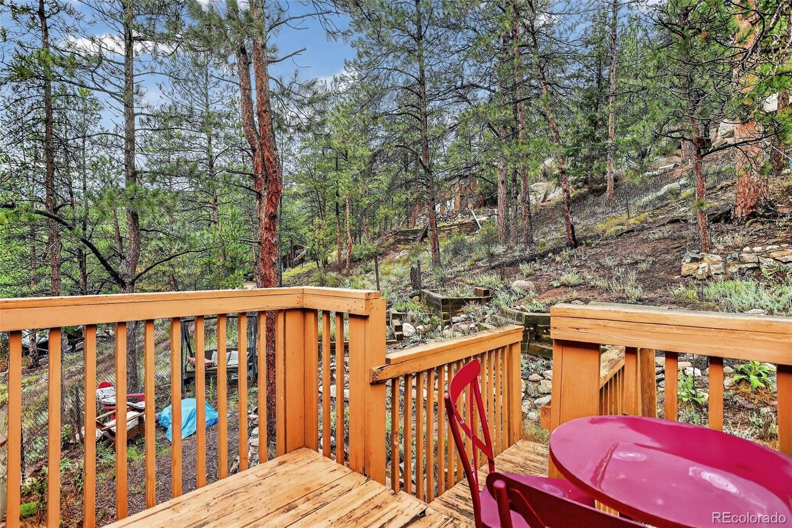 MLS Image #31 for 27403  schuyler gulch road,pine, Colorado