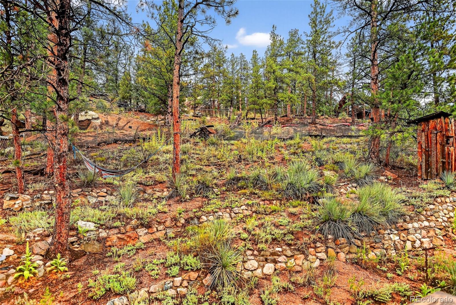 MLS Image #33 for 27403  schuyler gulch road,pine, Colorado