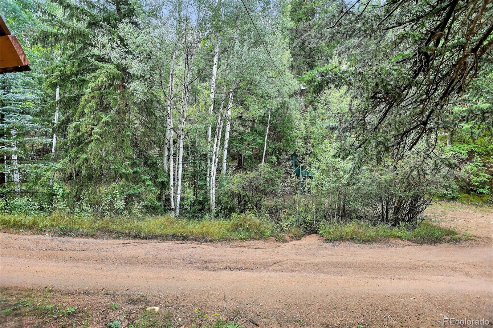 MLS Image #38 for 27403  schuyler gulch road,pine, Colorado