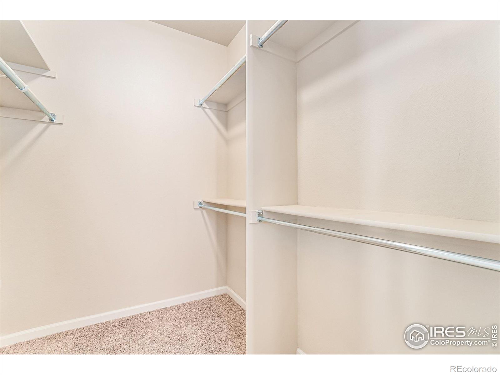 MLS Image #23 for 2026  scarecrow road,fort collins, Colorado
