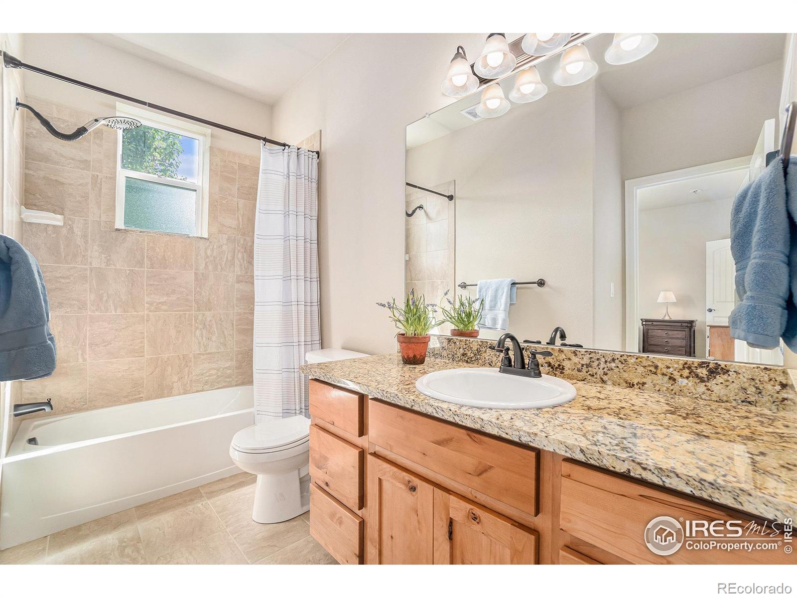 MLS Image #27 for 2026  scarecrow road,fort collins, Colorado