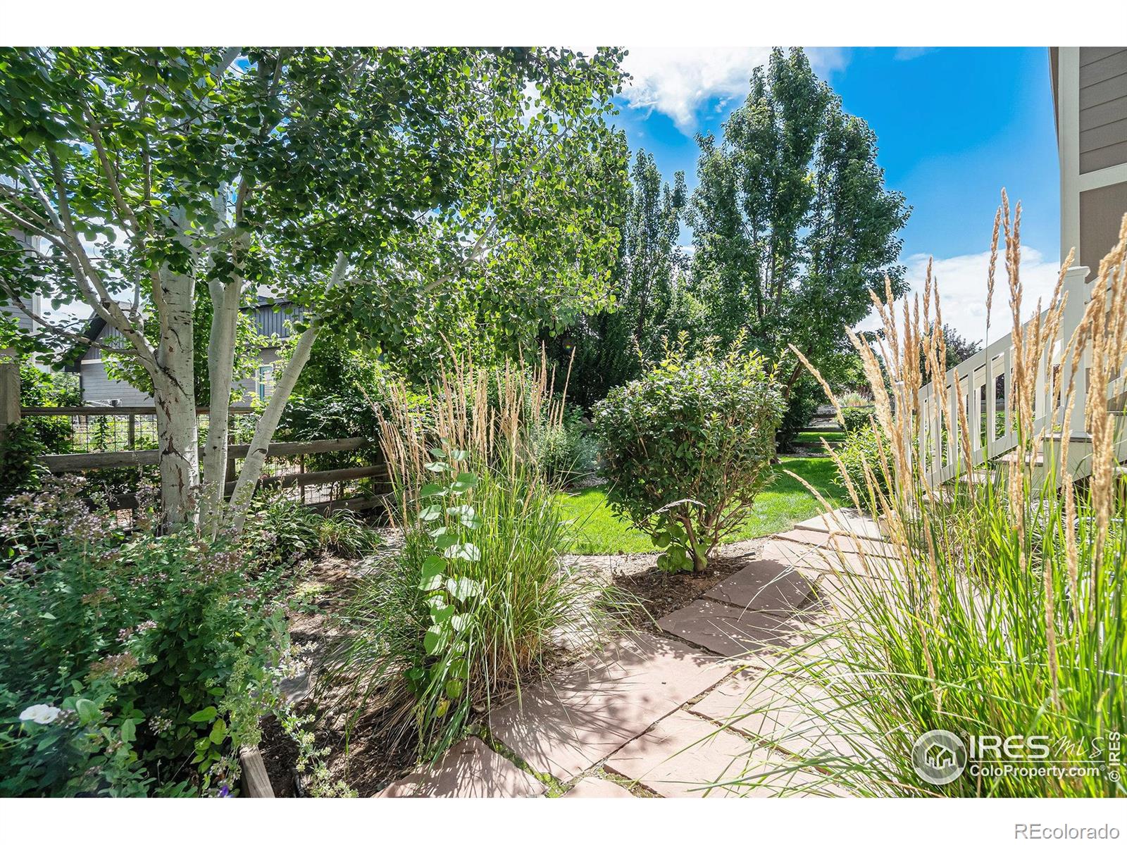 MLS Image #35 for 2026  scarecrow road,fort collins, Colorado
