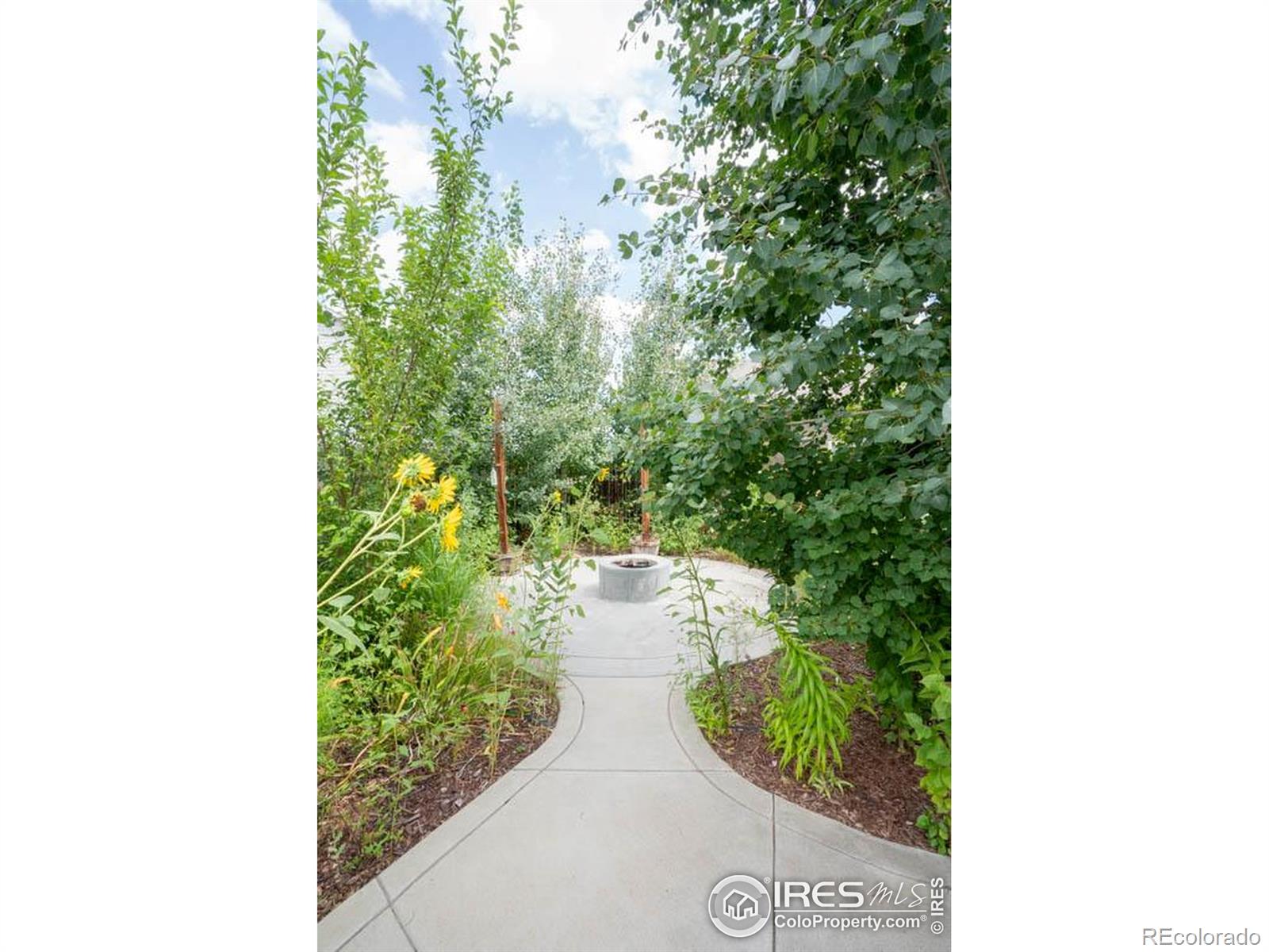 MLS Image #8 for 9018  harlequin circle,frederick, Colorado