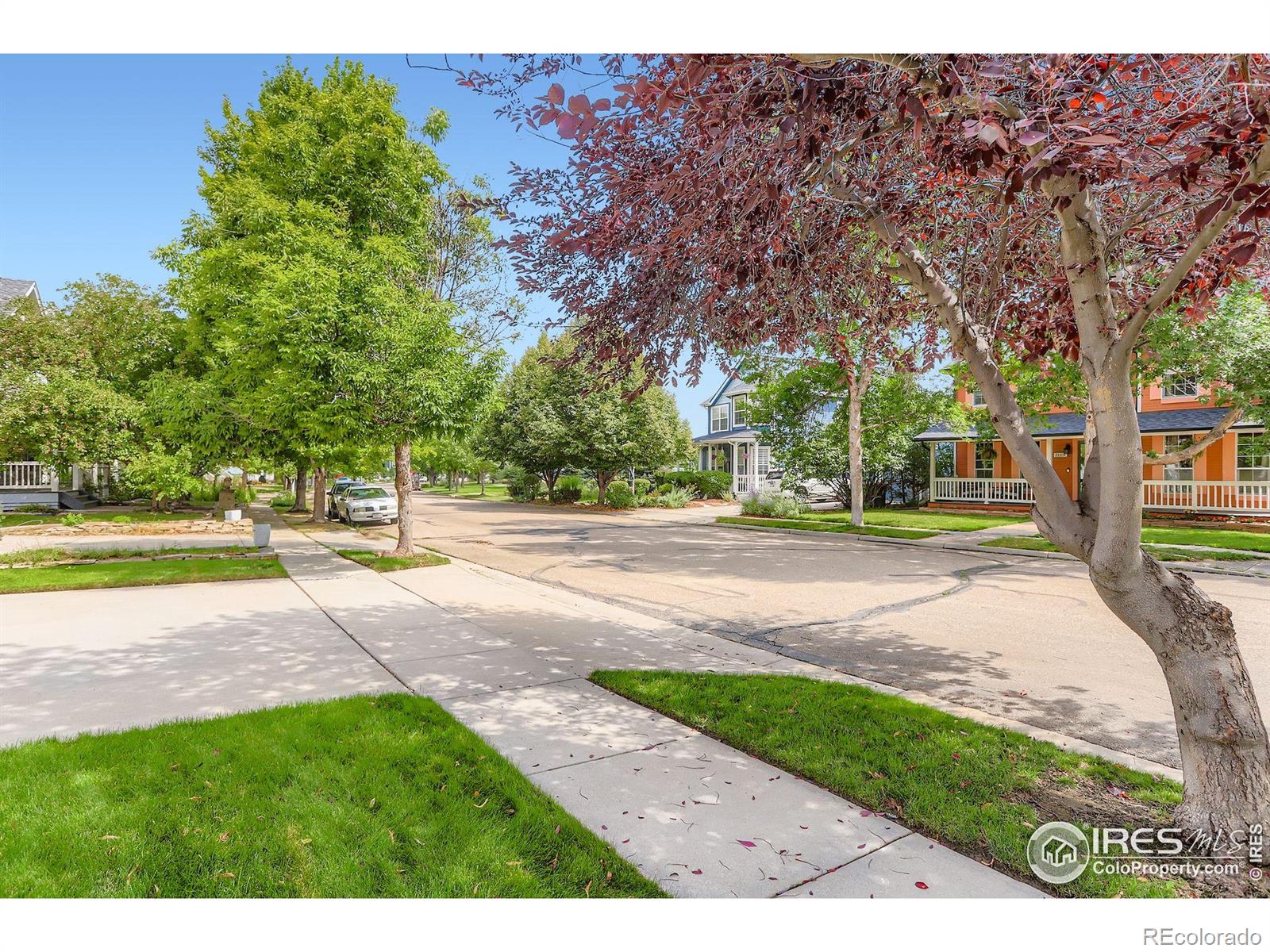 MLS Image #33 for 1166  st john street,erie, Colorado